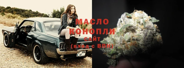 индика Абинск