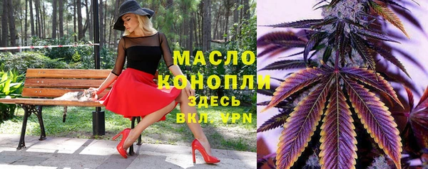 индика Абинск