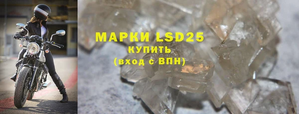 индика Абинск