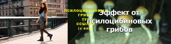 прущий лед Нязепетровск