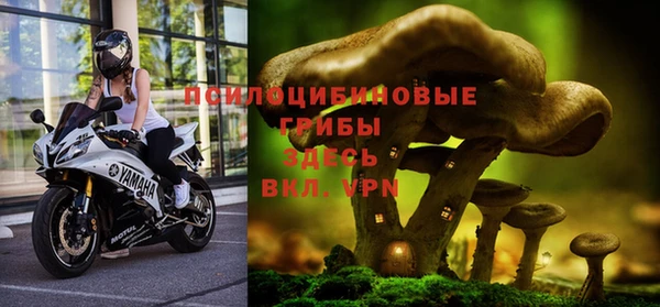 индика Абинск