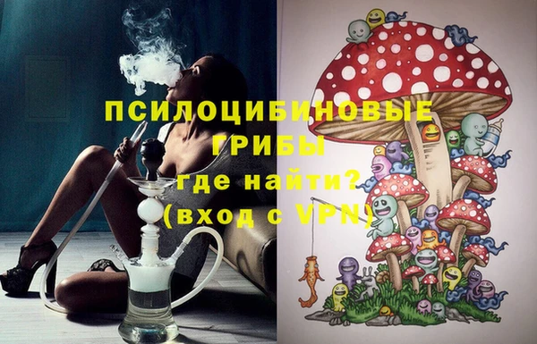 сатива Абдулино