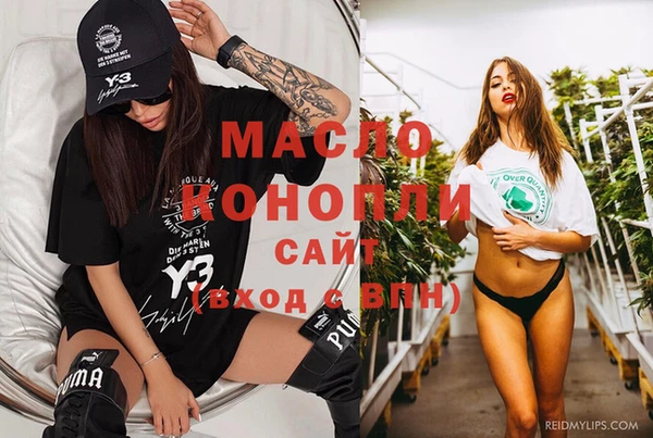 индика Абинск