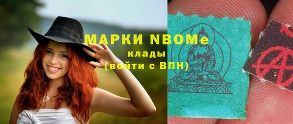 мдпв Абаза