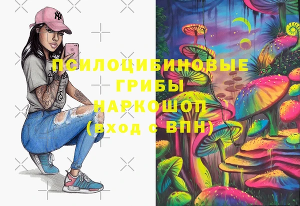 индика Абинск