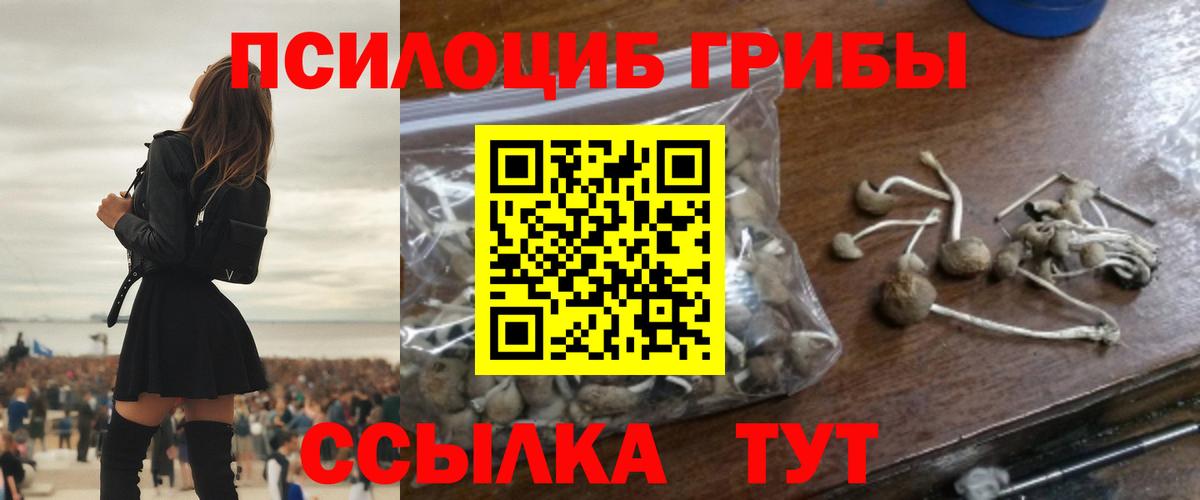 Галлюциногенные грибы GOLDEN TEACHER  Псилоцибиновые грибы мухоморы  Альметьевск  Вход с VPN 