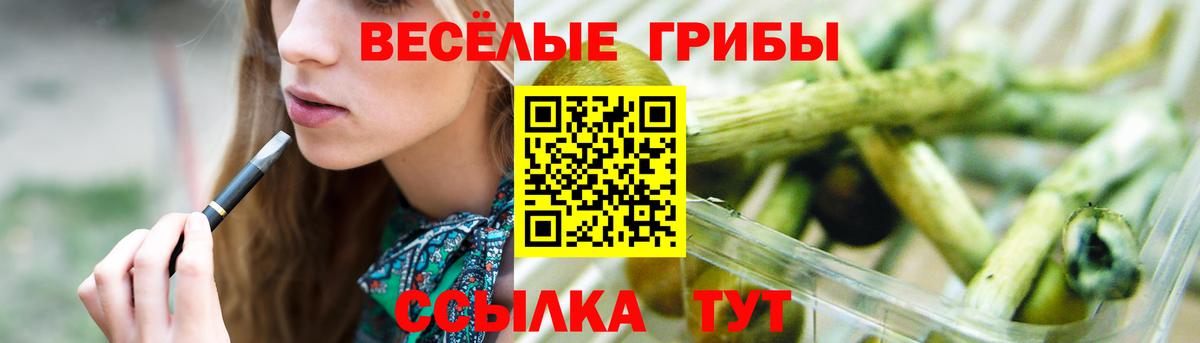 Галлюциногенные грибы прущие грибы Альметьевск